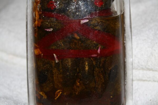 Buddha / Budda - amulet. Kuman Thong - year 2499. LP Tae. - Image 5