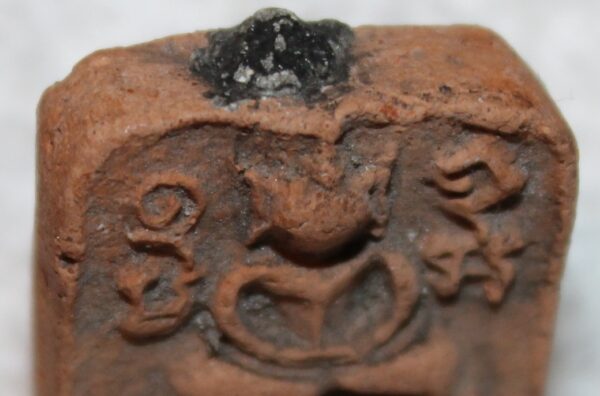 Buddha / Budda - amulet. LP Parn kii gai. 100 year. - Image 4